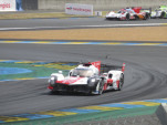 IMG 7383