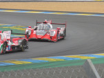 IMG 7195