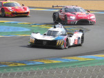 IMG 7438