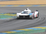IMG 7388