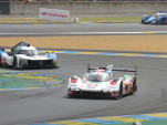 IMG 7271
