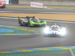 IMG 7225