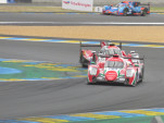 IMG 7191