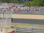 IMG 7441