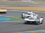 IMG 7334