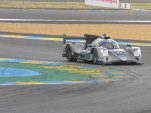 IMG 7242