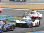 IMG 7358