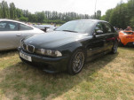 IMG 6598