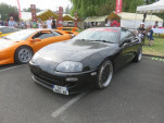 IMG 6522