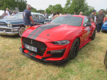 IMG 6648