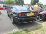 IMG 6694