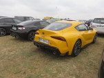 IMG 6943