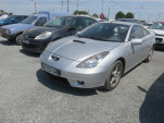 IMG 6335