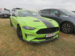 IMG 6988