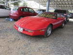 IMG 7501