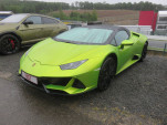 IMG 7981