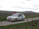 IMG 3648