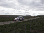 IMG 3661