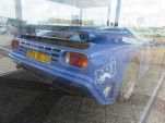 IMG 7575