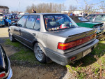 IMG 20240309 101646