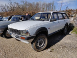 IMG 20240309 101124