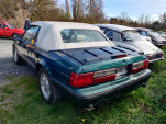 IMG 20240309 104130
