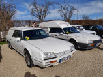 IMG 20240309 103843