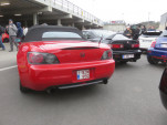 IMG 9533