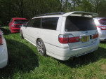 IMG 0693