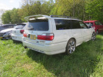 IMG 0692