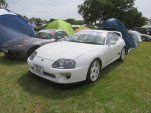 IMG 0886