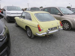 IMG 0994