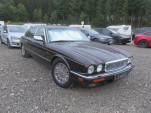 IMG 4459