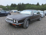 IMG 4454