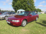 IMG 4745