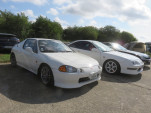 IMG 4710