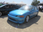 IMG 4973