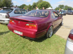 IMG 4886