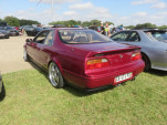 IMG 4887