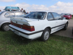 IMG 4742