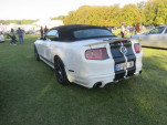 IMG 5876
