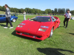IMG 5661