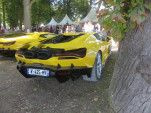 IMG 5511