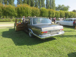 IMG 5782