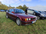 IMG20241103110233