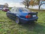 IMG20241103105943
