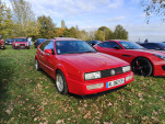 IMG20241103110051