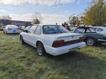 IMG20241103105630
