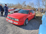 IMG20250308151946