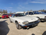 IMG20250308113647